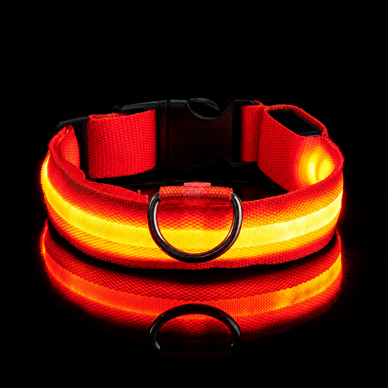 Peggycorner LED Safety Dog Leash