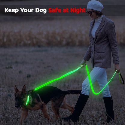 LED Dog Leash 6 Feet Micro USB Rechargeable Nylon Webbing Glow Safety Standard Dog Leash (Green)