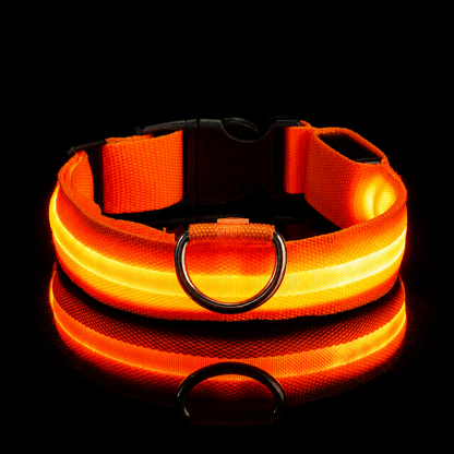 LED Safety Dog Collar