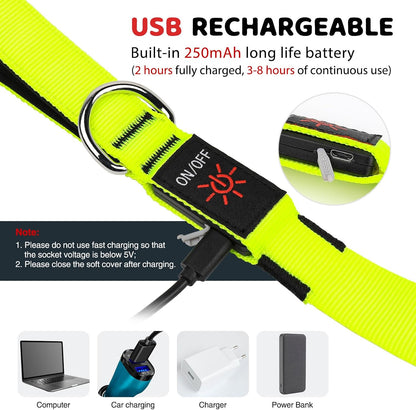 LED Dog Leash 6 Feet Micro USB Rechargeable Nylon Webbing Glow Safety Standard Dog Leash (Green)