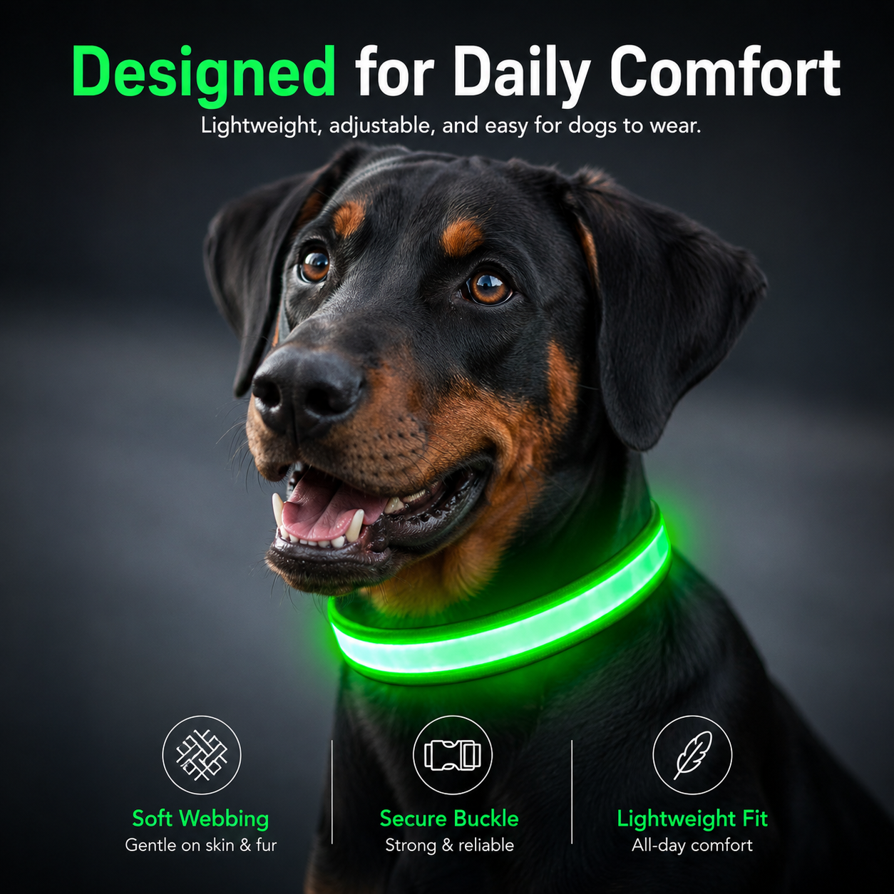Rechargeable LED Dog Collar - Super Bright Safety Glow for Night Walks (Small, Green)