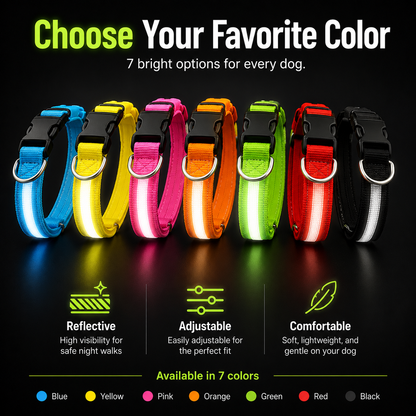 Rechargeable LED Dog Collar