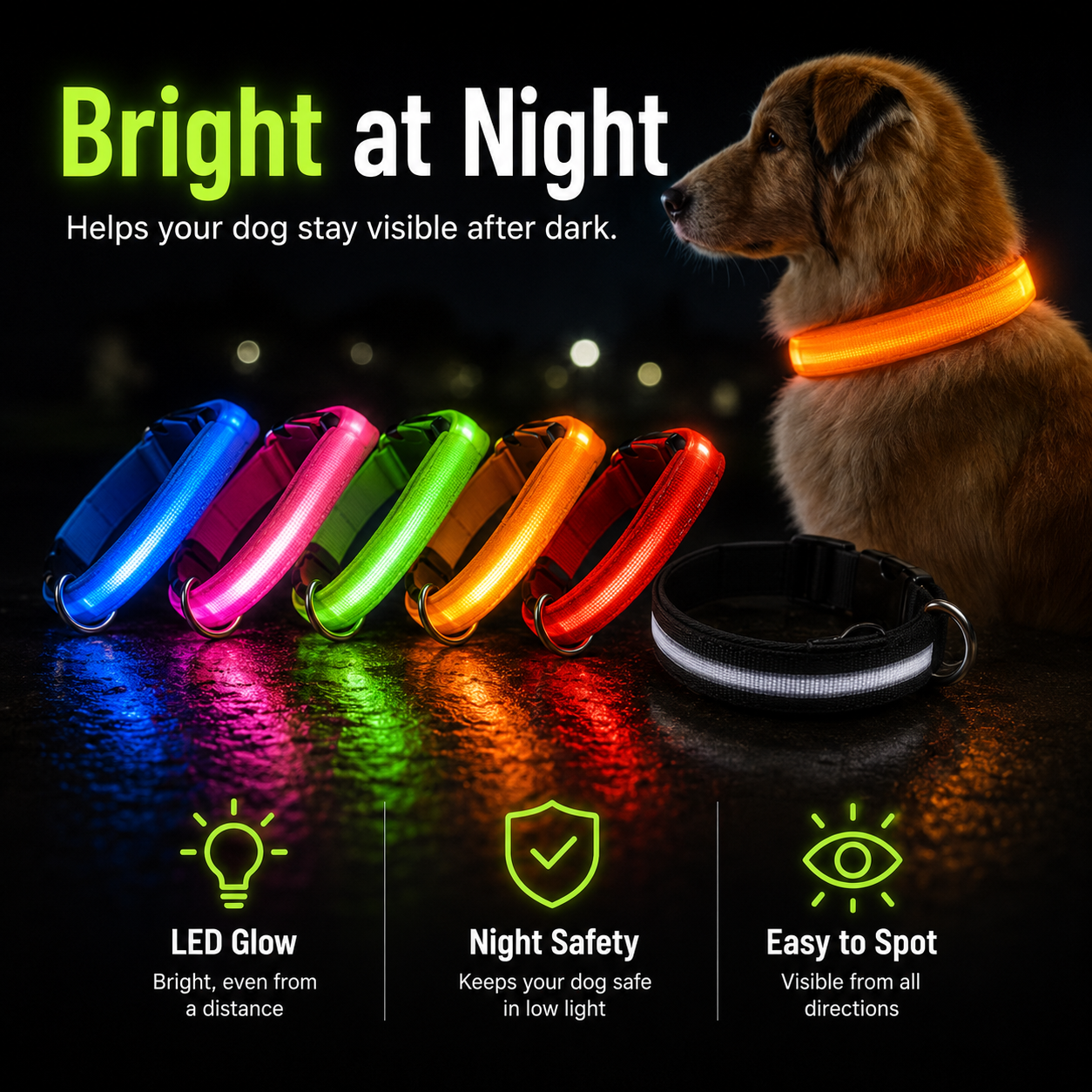 Rechargeable LED Dog Collar