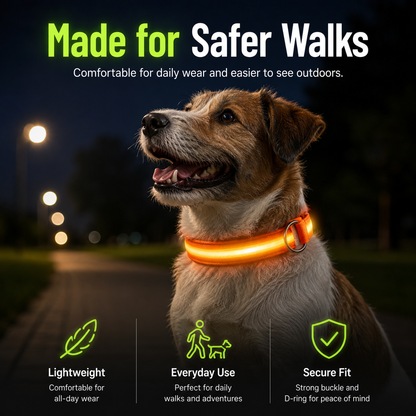 Rechargeable LED Dog Collar