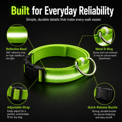 Rechargeable LED Dog Collar
