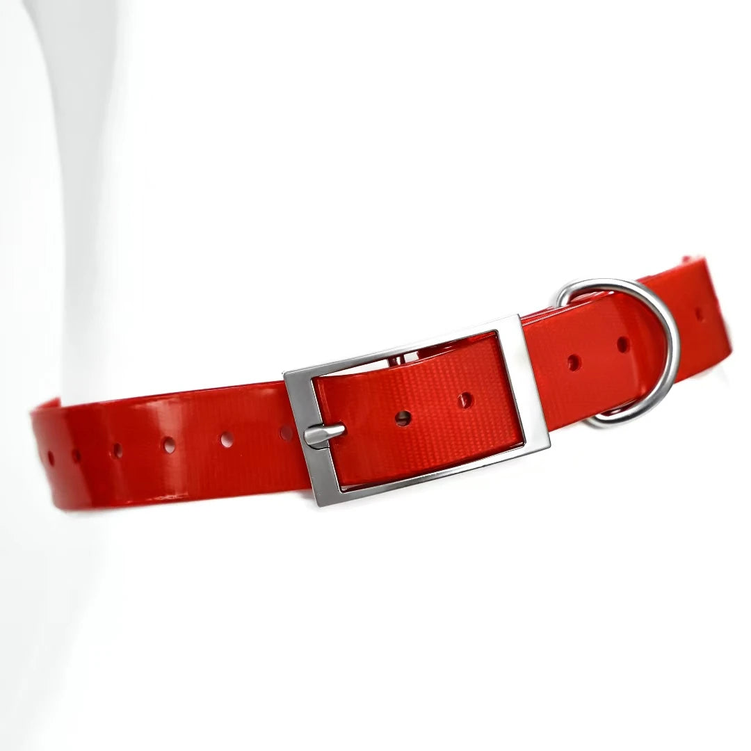 2.5Cm Wide Heavy Duty TPU Dog Collar Waterproof Hunting Adjustable Pet Collar 8 Colors for Large Medium Dogs Outdoor Training