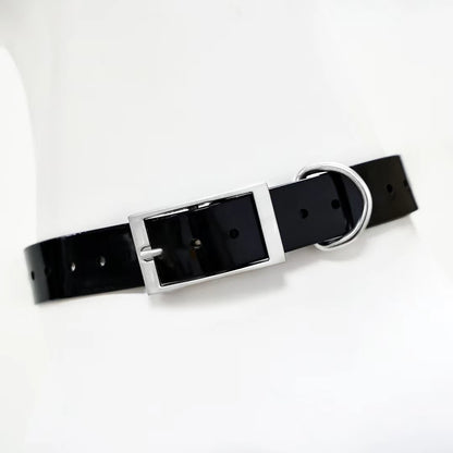 2.5Cm Wide Heavy Duty TPU Dog Collar Waterproof Hunting Adjustable Pet Collar 8 Colors for Large Medium Dogs Outdoor Training