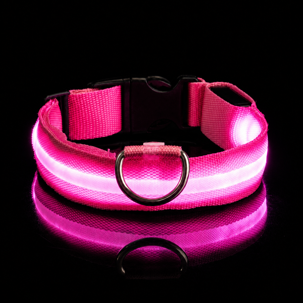 LED Safety Dog Collar