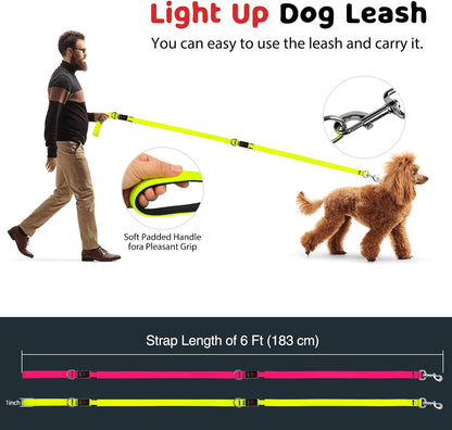 LED Dog Leash 6 Feet Micro USB Rechargeable Nylon Webbing Glow Safety Standard Dog Leash (Green)