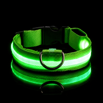 LED Safety Dog Collar