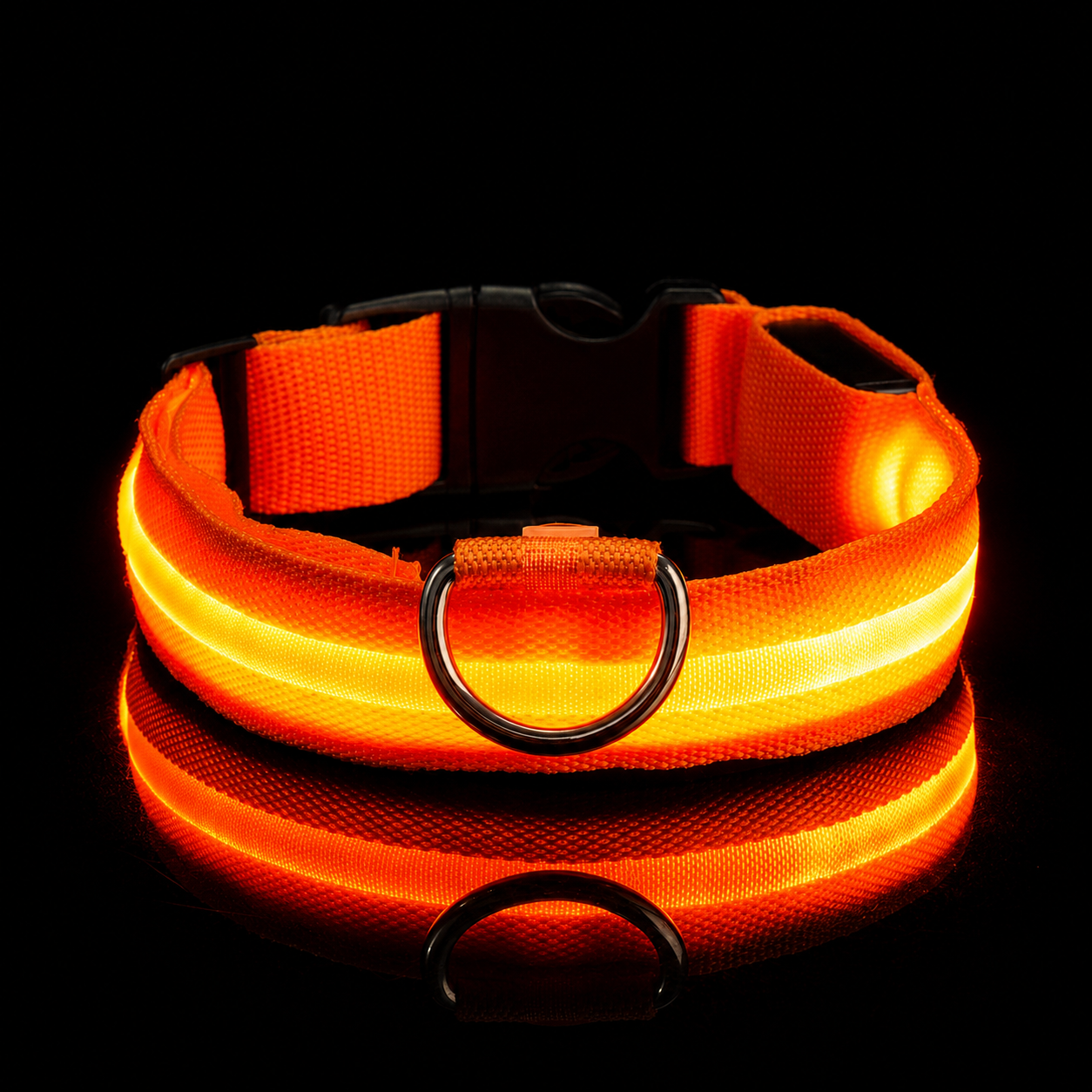 Peggycorner LED Safety Dog Leash