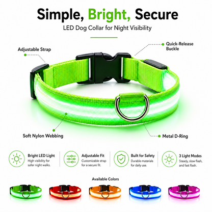 Peggycorner LED Safety Dog Leash